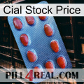 Cial Stock Price 06